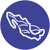 Icono mapa de México